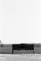 Bench overlooking the park