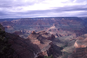 Grand Canyon detail